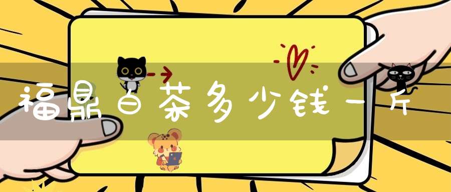 福鼎白茶多少钱一斤