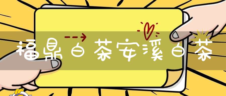 福鼎白茶安溪白茶