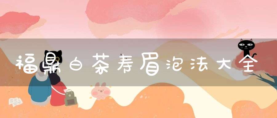 福鼎白茶寿眉泡法大全