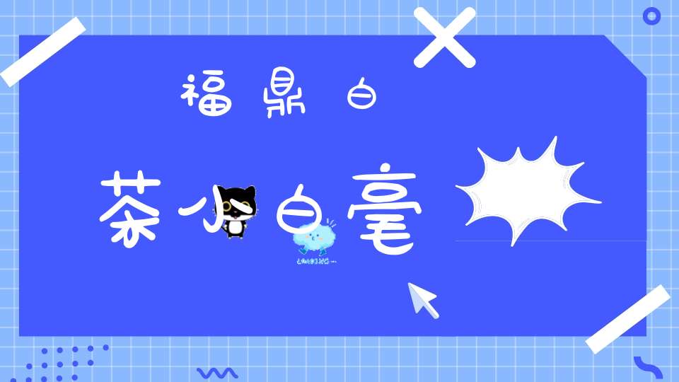 福鼎白茶小白毫