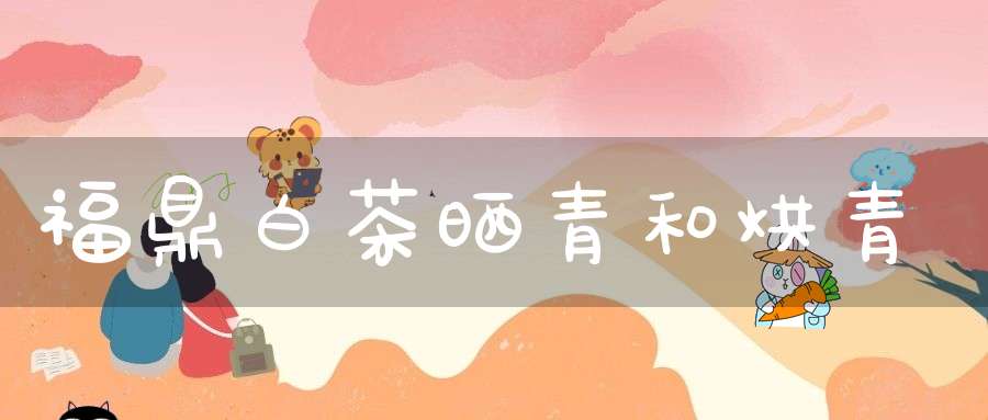福鼎白茶晒青和烘青