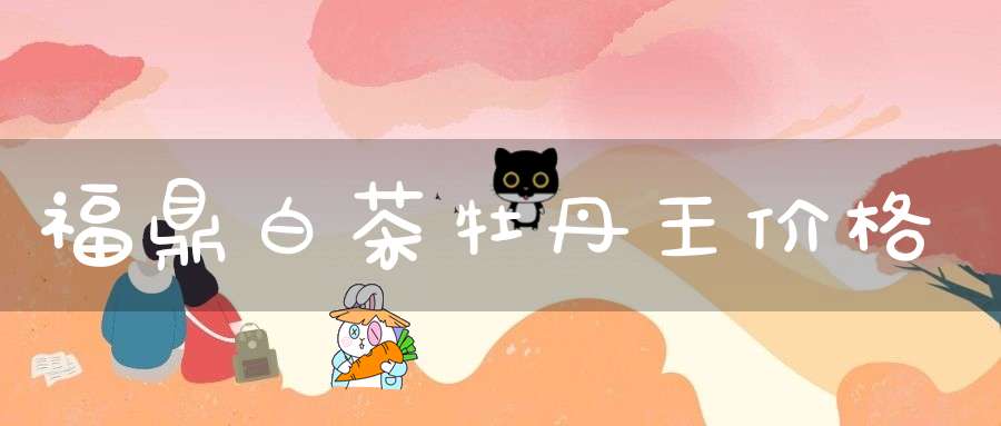 福鼎白茶牡丹王价格
