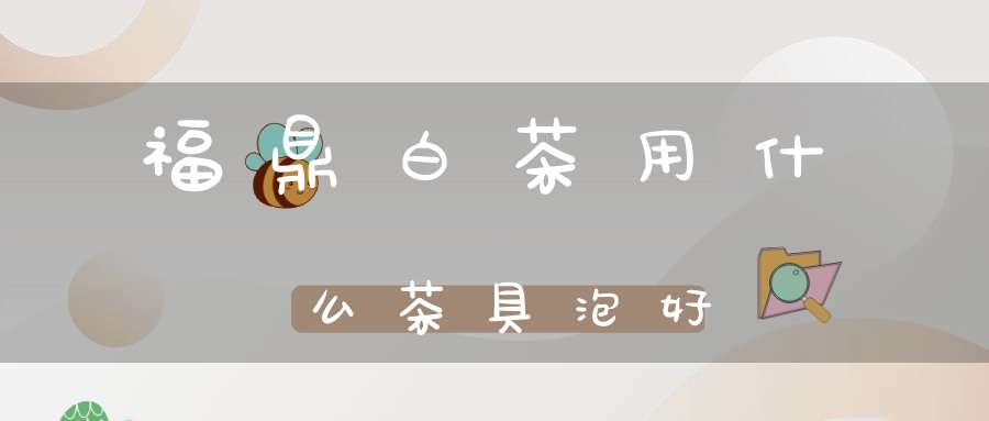 福鼎白茶用什么茶具泡好