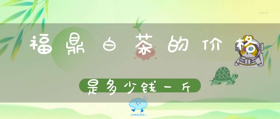 福鼎白茶的价格是多少钱一斤