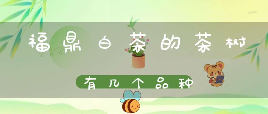 福鼎白茶的茶树有几个品种