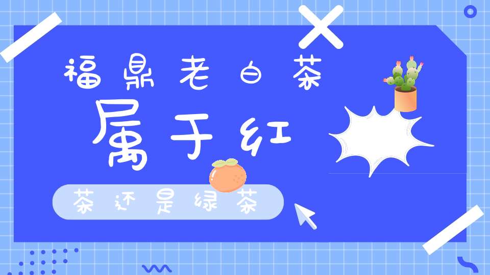 福鼎老白茶属于红茶还是绿茶