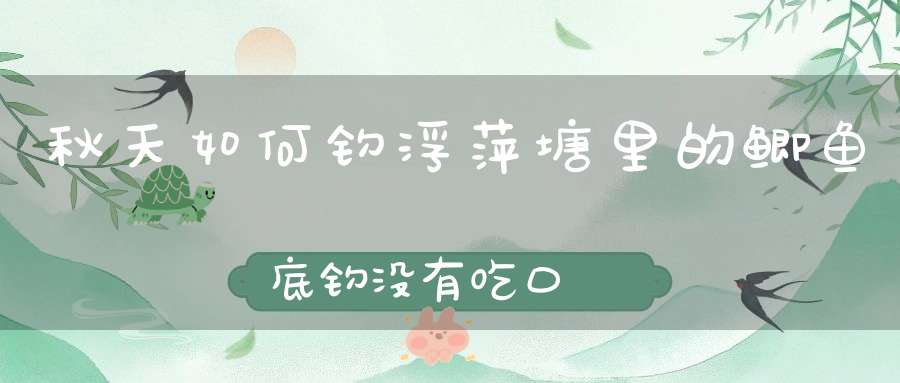 秋天如何钓浮萍塘里的鲫鱼底钓没有吃口？