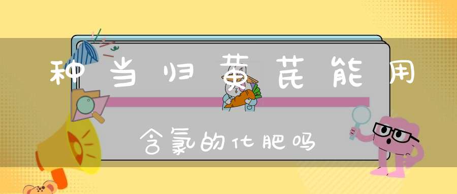 种当归黄芪能用含氯的化肥吗？