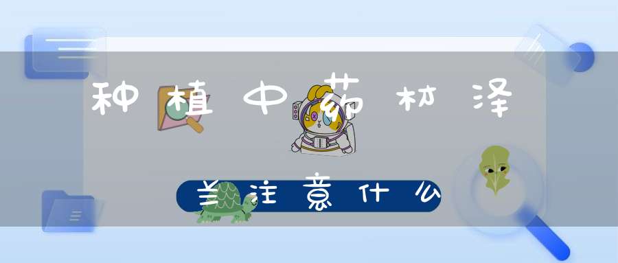 种植中药材泽兰注意什么？