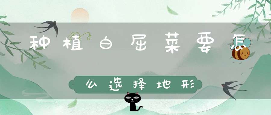 种植白屈菜要怎么选择地形？