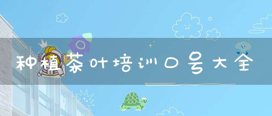 种植茶叶培训口号大全