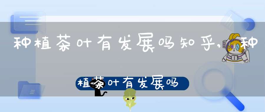 种植茶叶有发展吗知乎,种植茶叶有发展吗现在