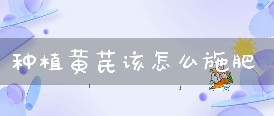 种植黄芪该怎么施肥？