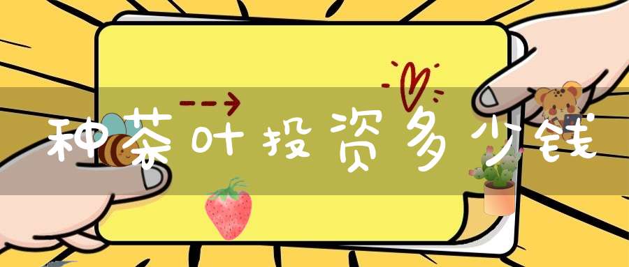 种茶叶投资多少钱