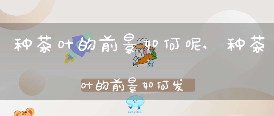 种茶叶的前景如何呢,种茶叶的前景如何发展