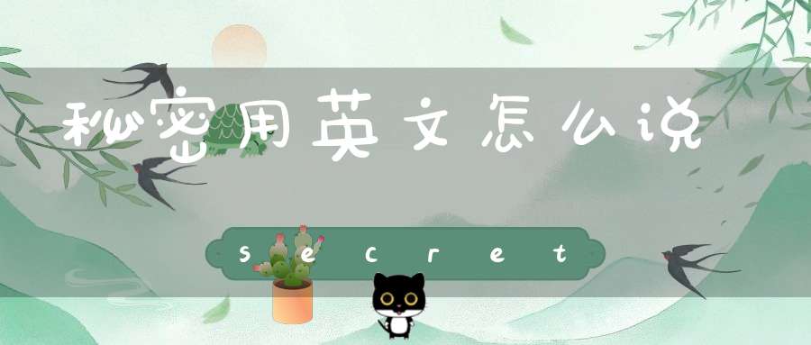 秘密用英文怎么说secret