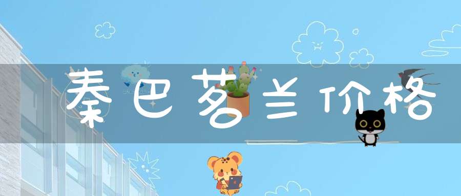 秦巴茗兰价格
