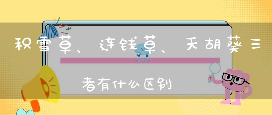 积雪草、连钱草、天胡葵三者有什么区别？