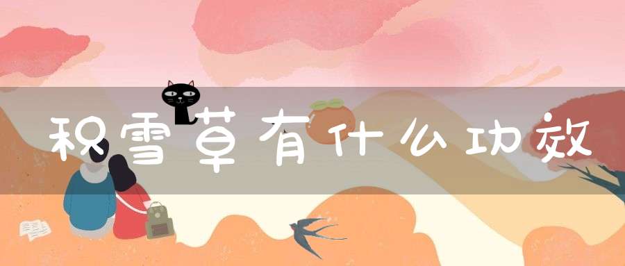 积雪草有什么功效？