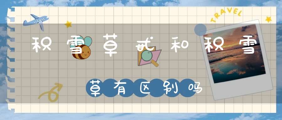 积雪草甙和积雪草有区别吗？