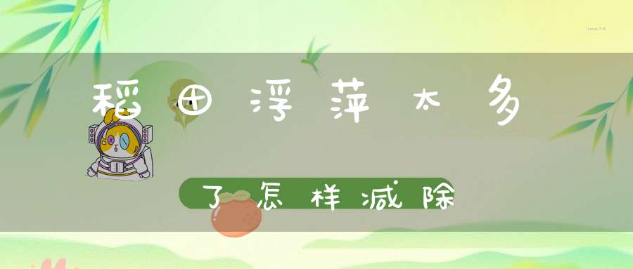 稻田浮萍太多了怎样减除？