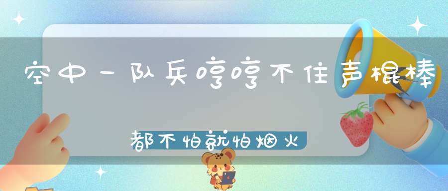 空中一队兵，哼哼不住声，棍棒都不怕，就怕烟火熏。 （猜一动物）