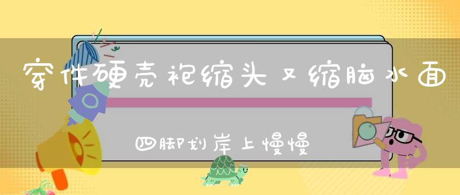 穿件硬壳袍，缩头又缩脑，水面四脚划，岸上慢慢跑（打一动物）