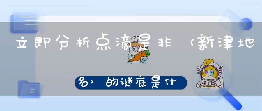 立即分析点滴是非 （新津地名）的谜底是什么?