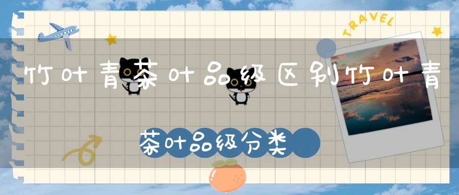 竹叶青茶叶品级区别竹叶青茶叶品级分类