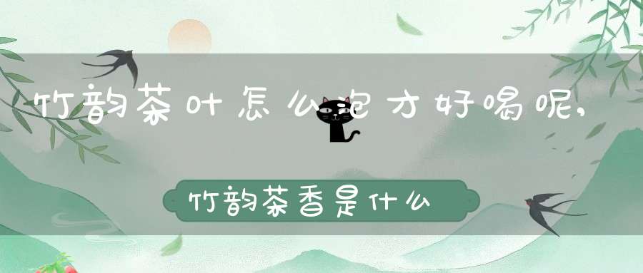 竹韵茶叶怎么泡才好喝呢,竹韵茶香是什么意思