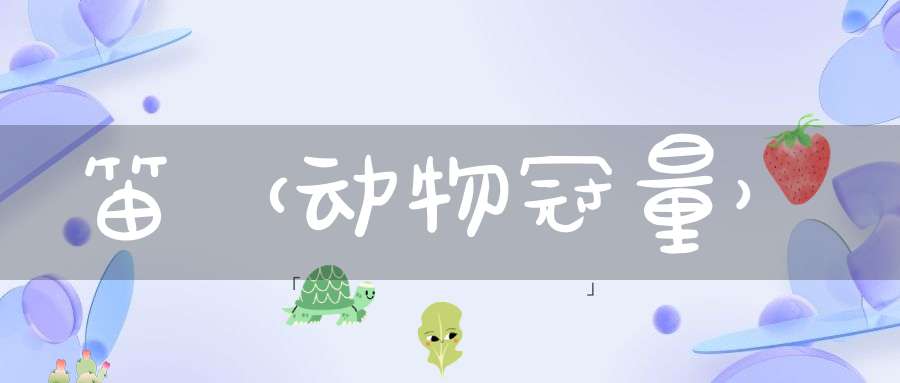笛（动物冠量）