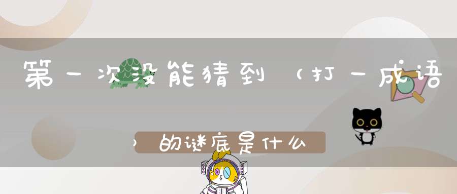 第一次没能猜到 （打一成语）的谜底是什么?