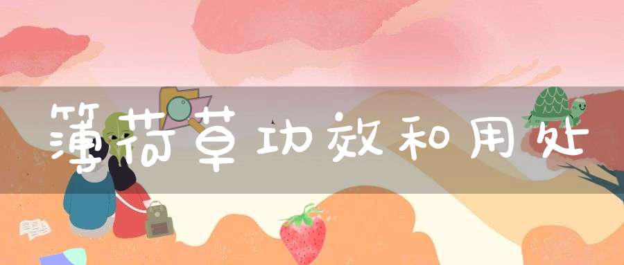 簿荷草功效和用处