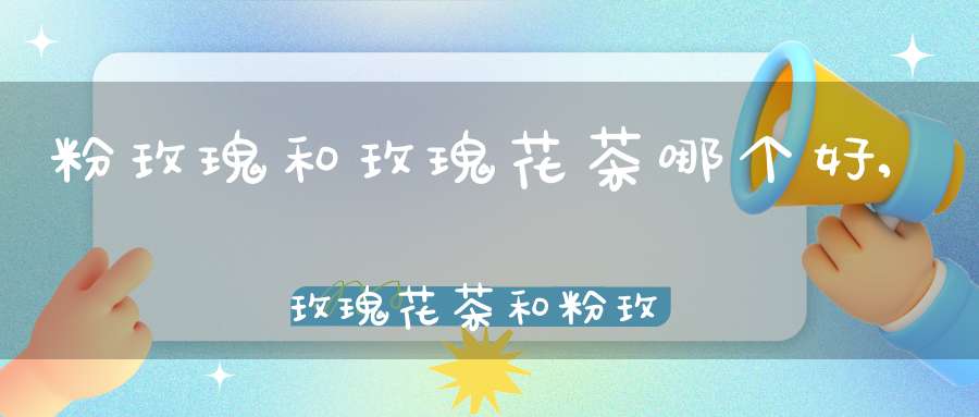 粉玫瑰和玫瑰花茶哪个好,玫瑰花茶和粉玫瑰花茶哪个好