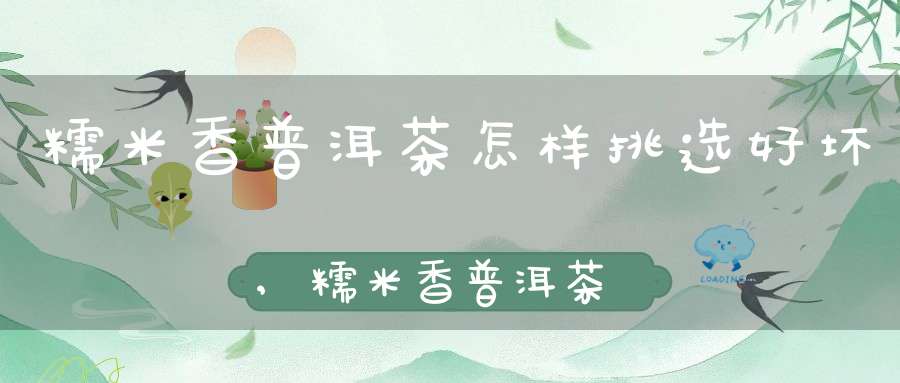 糯米香普洱茶怎样挑选好坏,糯米香普洱茶怎么分辨好坏