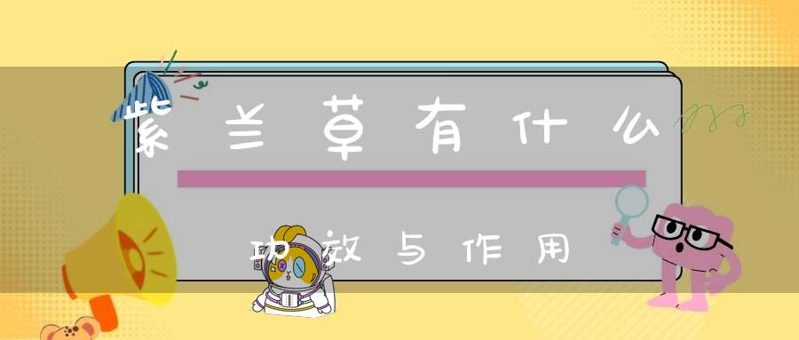 紫兰草有什么功效与作用