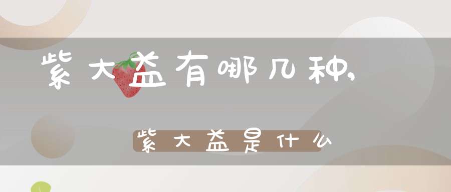 紫大益有哪几种,紫大益是什么