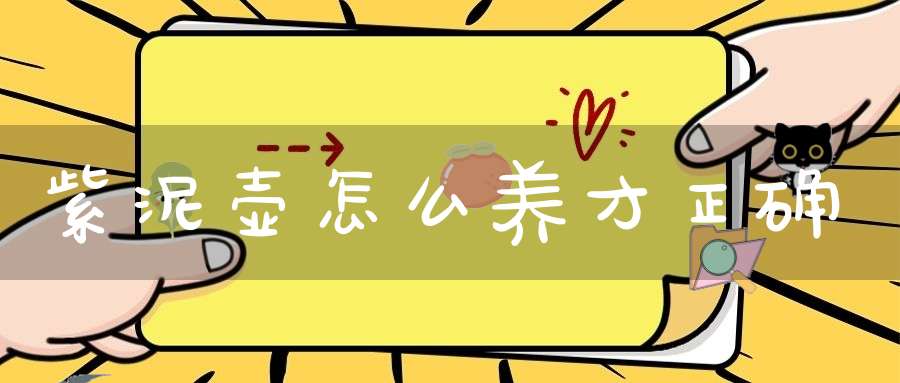 紫泥壶怎么养才正确