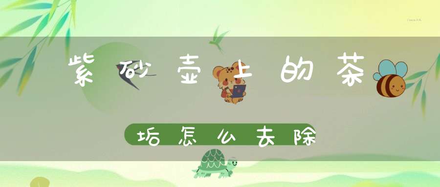 紫砂壶上的茶垢怎么去除