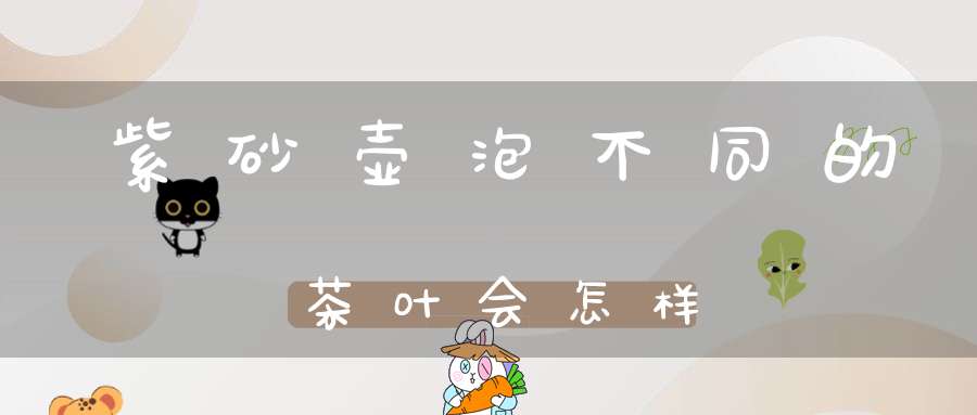 紫砂壶泡不同的茶叶会怎样