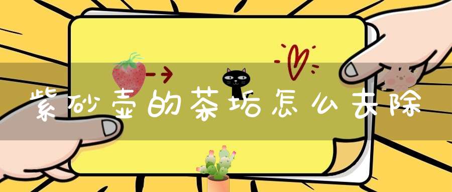 紫砂壶的茶垢怎么去除