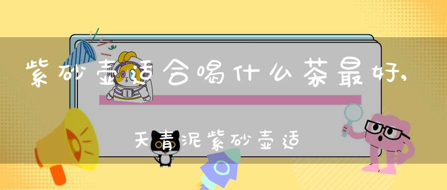 紫砂壶适合喝什么茶最好,天青泥紫砂壶适合喝什么茶