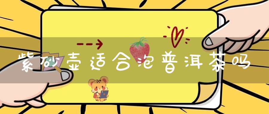 紫砂壶适合泡普洱茶吗