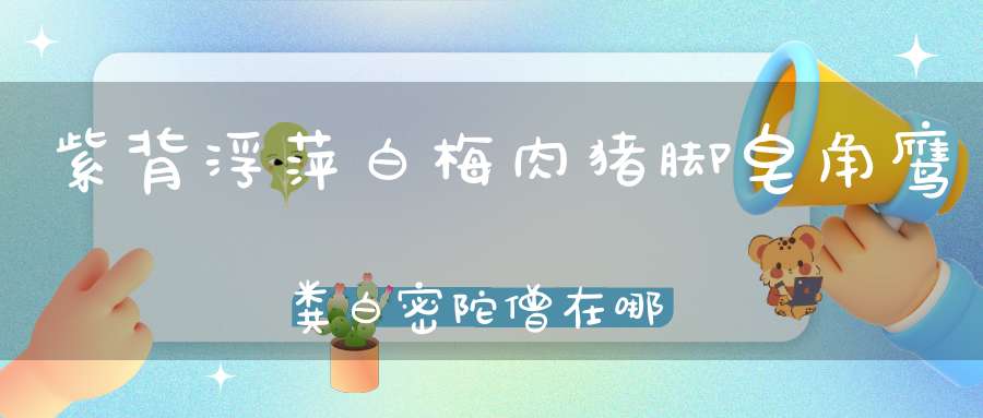 紫背浮萍白梅肉猪脚皂角鹰粪白密陀僧在哪里买得到了？