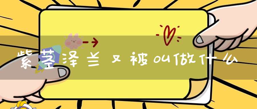 紫茎泽兰又被叫做什么？