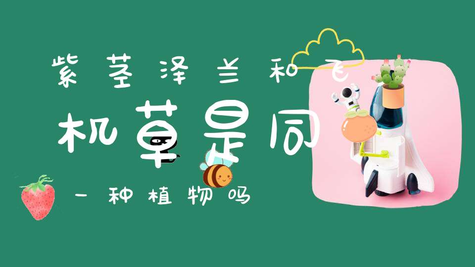 紫茎泽兰和飞机草是同一种植物吗？