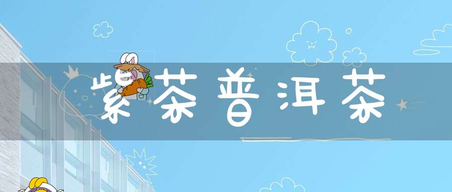 紫茶普洱茶