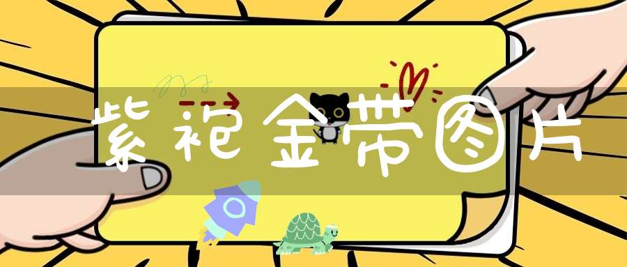 紫袍金带图片