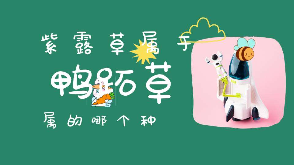 紫露草属于鸭跖草属的哪个种？