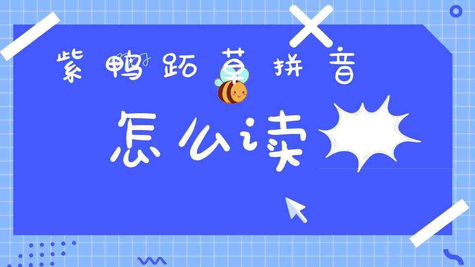 紫鸭跖草拼音怎么读？